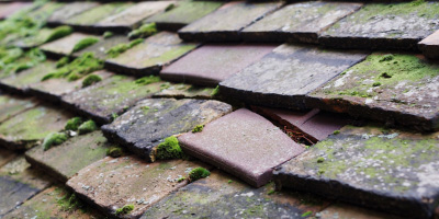 Poulton roof repair costs